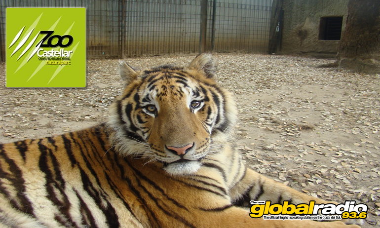 Zoo de Castellar, animal rescue, Costa Del Sol