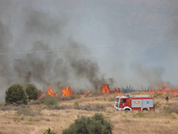 Fire Engine In Estepona