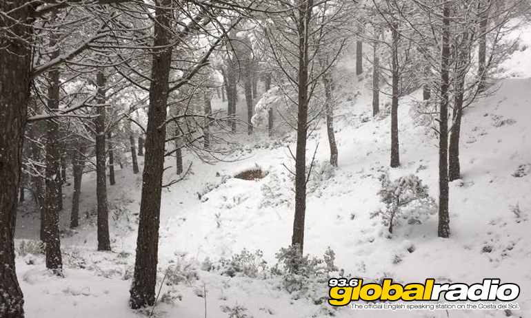 Costa Del Sol Snow Pictures