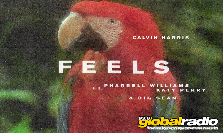 Calvin Harris Feels