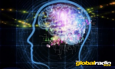 Brain Quest Marbella