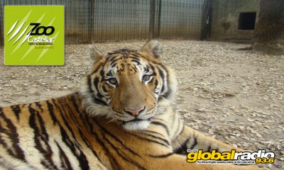 Zoo De Castellar