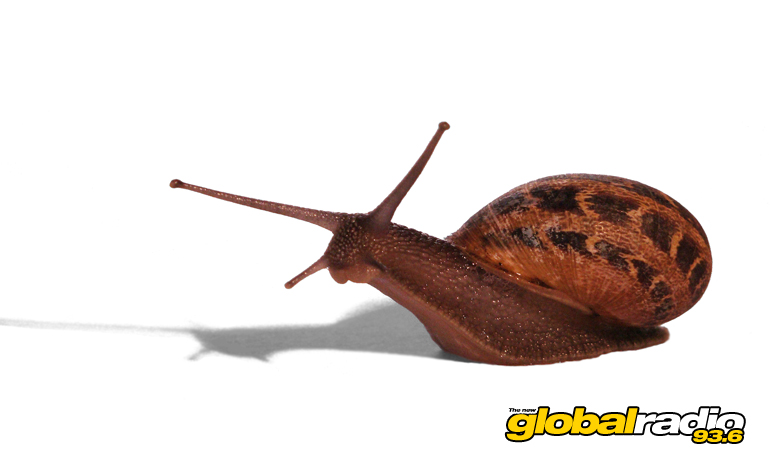 Riogordo Snail Day
