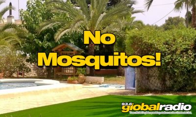Win A Mosquito Free Garden