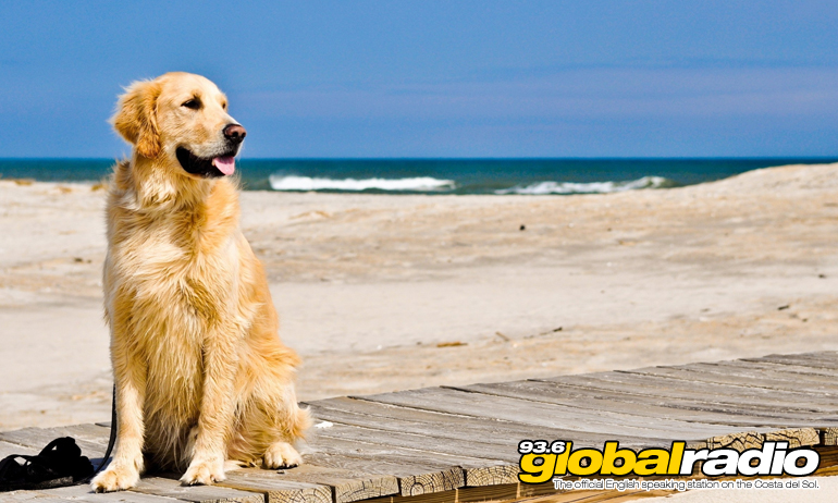 Benalmadena Council Plans New Dog Beach