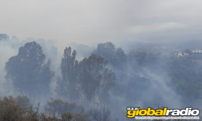 Mijas Fire Under Control