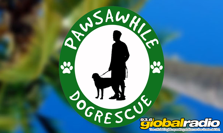 Pawsawhile Puppy Profile