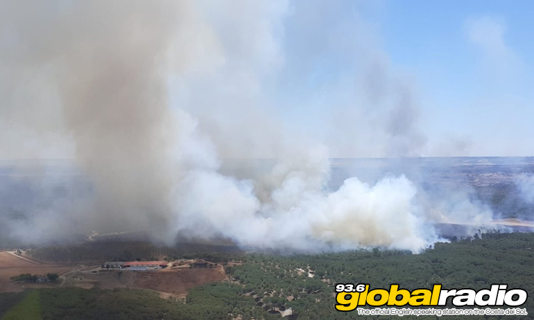 1000 People Battling Benahavis Blaze