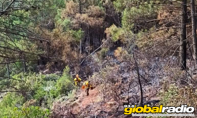 Forest Fire Under Control