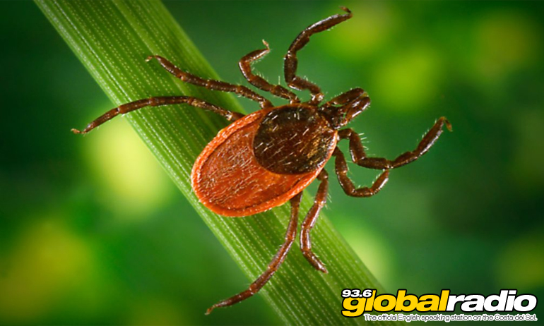 Experts Warn Of More Ticks On The Costa Del Sol