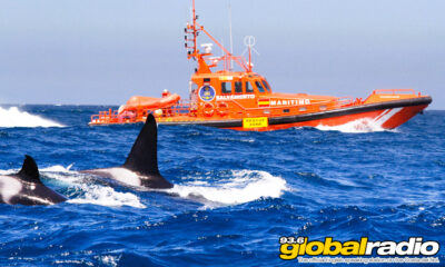 Whale Warning For Straits Of Gibraltar