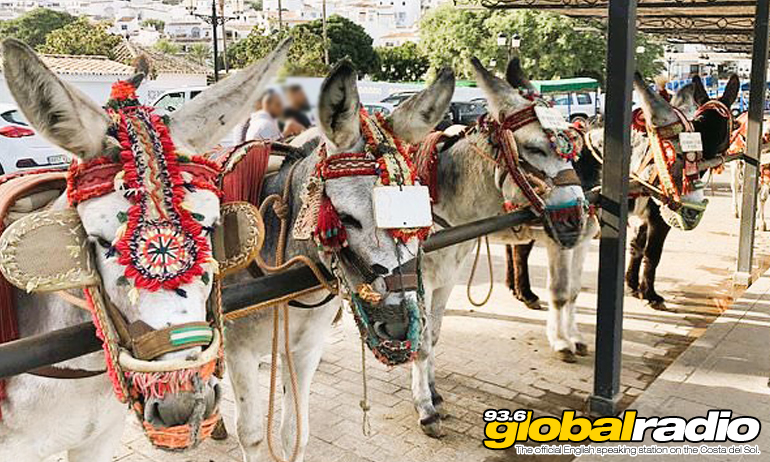 Mijas Donkeys Taxi