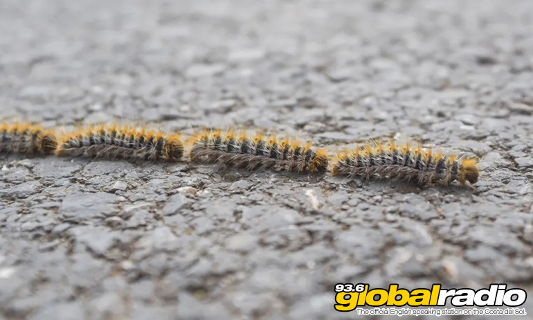 Costa Del Sol Caterpillar Warning