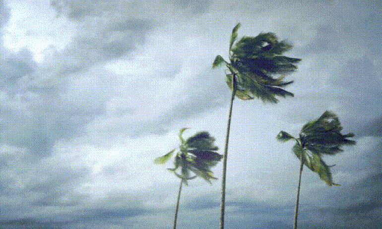 Gale Force Wind Warning This Afternoon