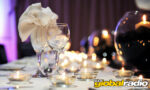 ACE Dog Shelter Summer Charity Dinner