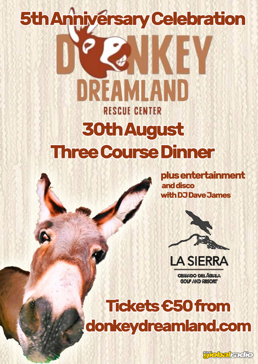 Donkey Dreamland 
