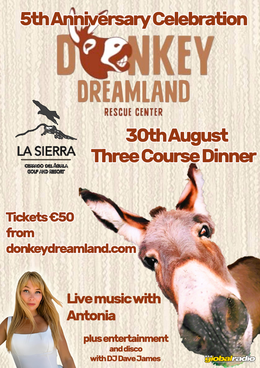 Donkey Dreamland 5th Anniversary