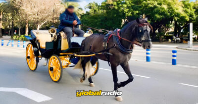 Malaga Halts Horse Drawn Carriage Rides