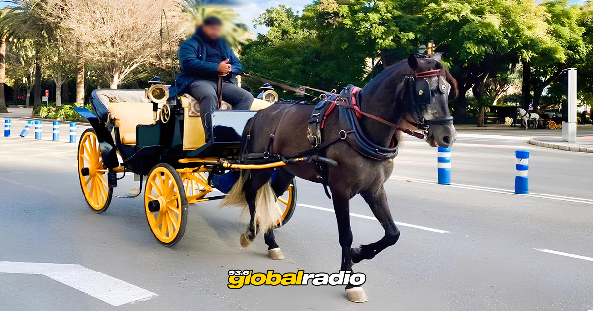 Malaga Halts Horse Drawn Carriage Rides