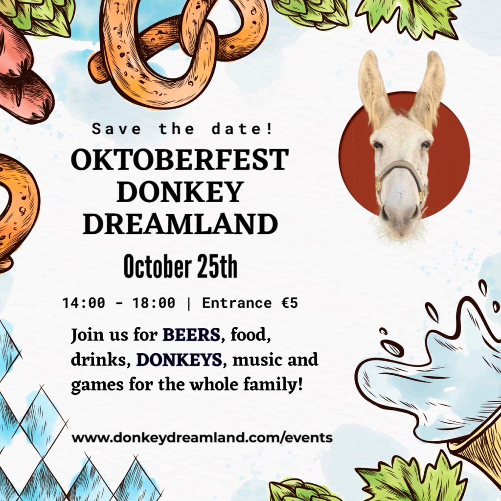 donkey dreamland oktober fest