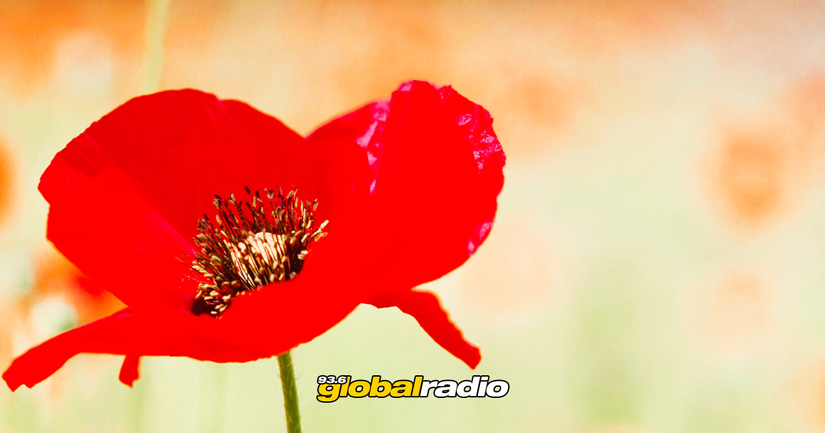 Fuengirola Remembrance Sunday Service