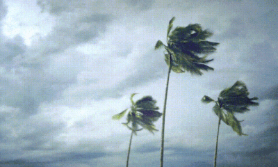 Gale Force Wind Warning On Three Kings Day