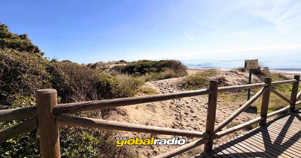 Cabopino Artola Dunes