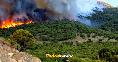 Mijas Begins Forest Fire Prevention Plan