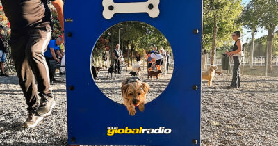 New Torremolinos Dog Park Opens