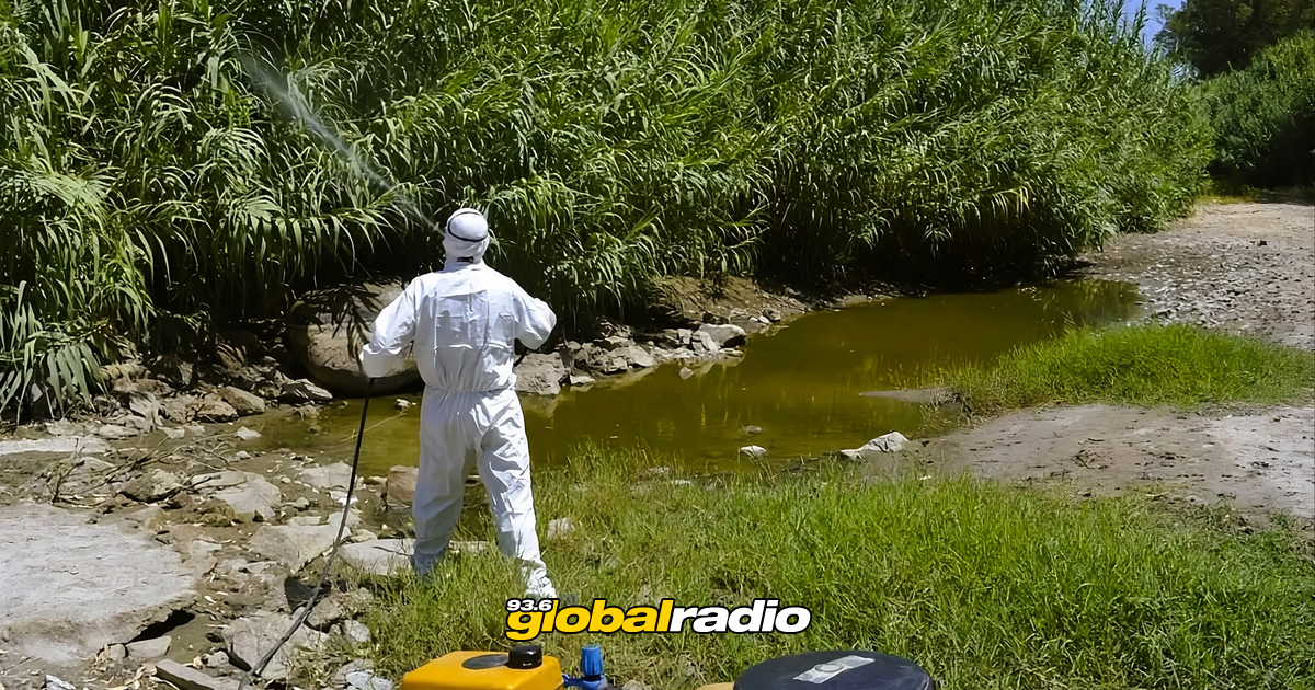 Mijas Battles Mosquitos In Public Parks